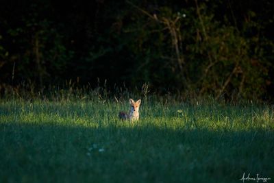 2500_668A7823.jpg