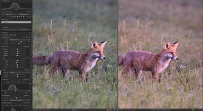 Vergleich DXO Fuchs.jpg