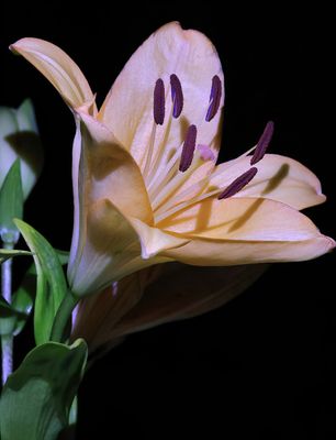 I6A0307T