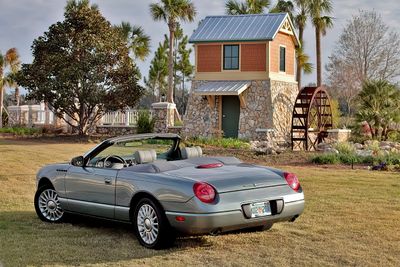 MG_6349PBT