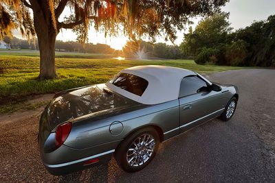 Thunderbird