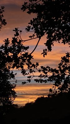 Bob Schaffel  Photos