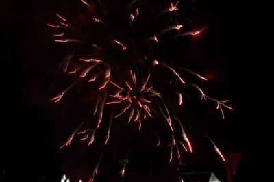 45th Reunion  Activities