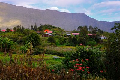 La Réunion April - May 2025
