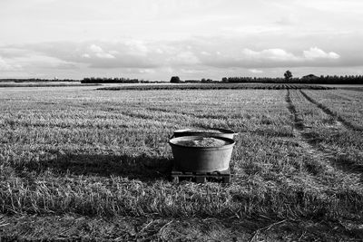 Steenokkerzeel, our village