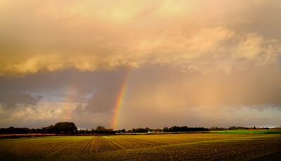 Steenokkerzeel, our village
