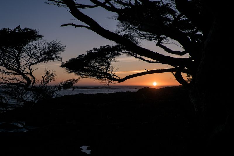 Wild Pacific Trail