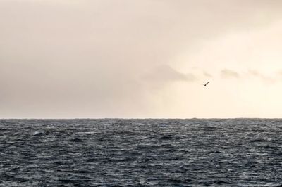 IMG_20240226_123418_482.jpg