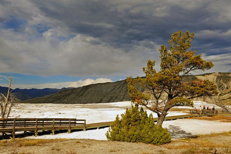 Yellowstone_08.jpg