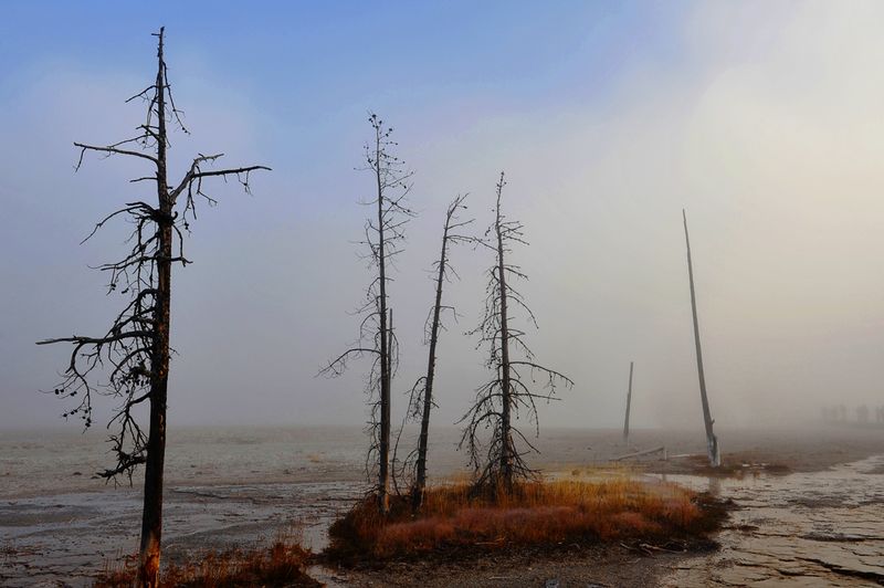 Yellowstone_17.jpg