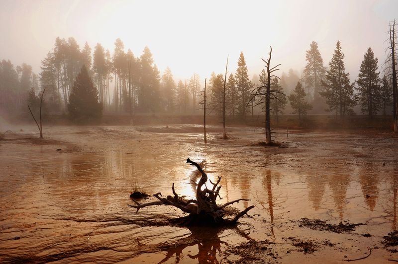Yellowstone_21.jpg
