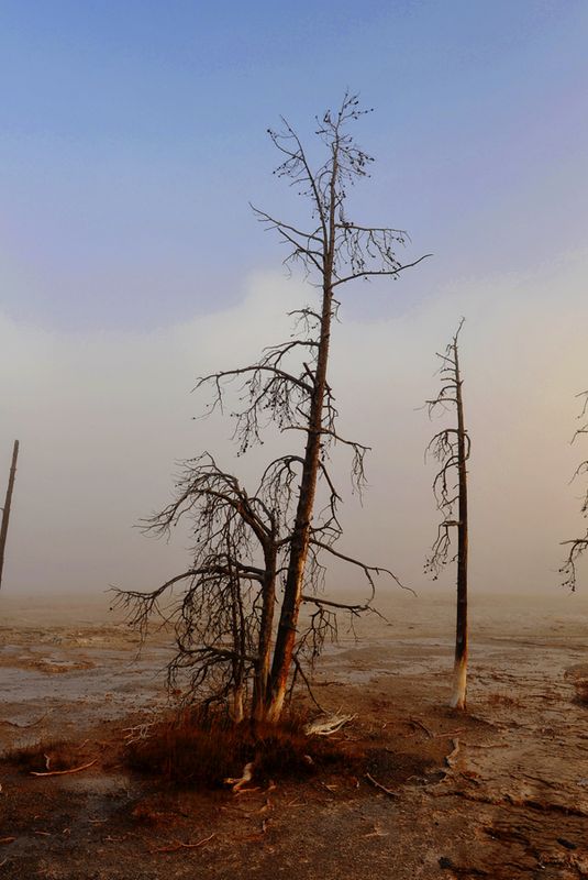 Yellowstone_20.jpg