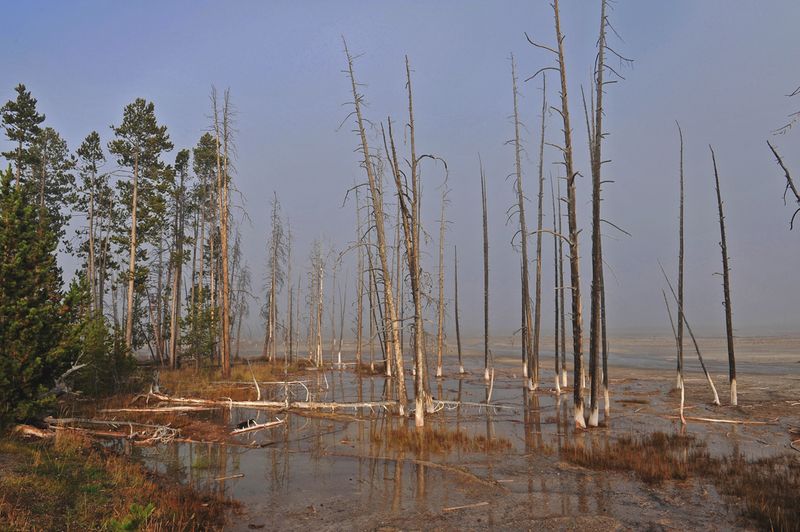 Yellowstone_22.jpg