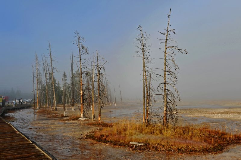 Yellowstone_23.jpg