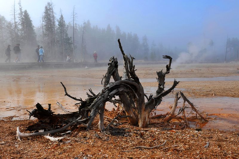 Yellowstone_24.jpg