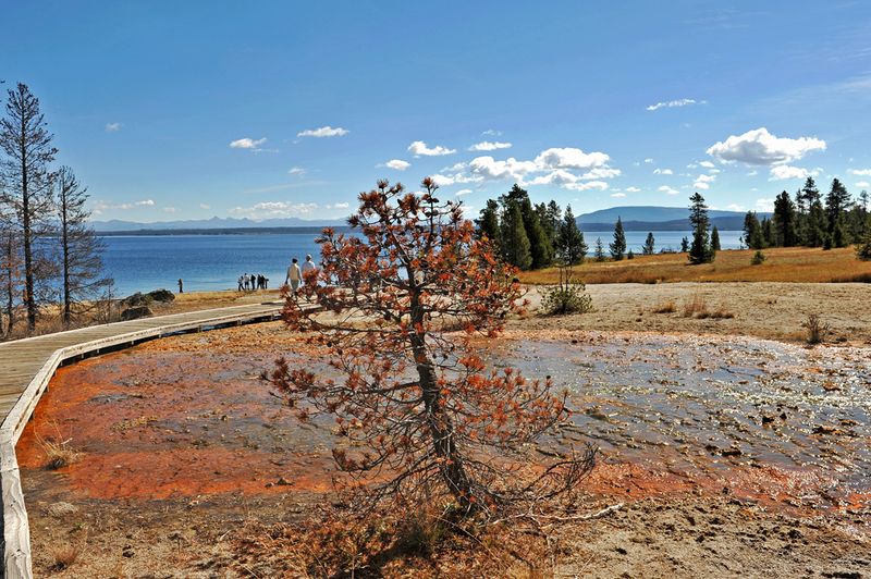 Yellowstone_59.jpg