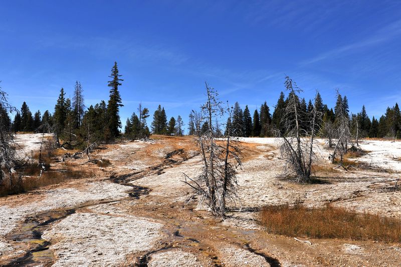 Yellowstone_55.jpg