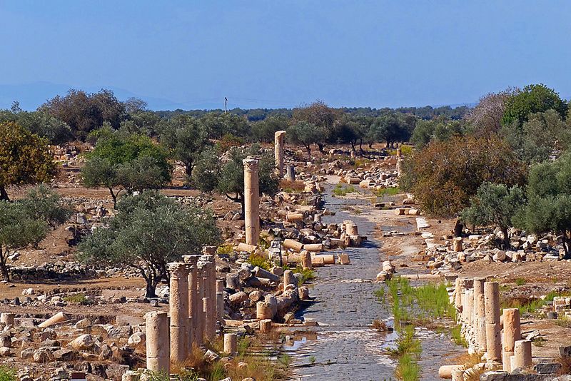 Umm Qais 03.jpg