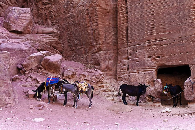Petra_24.jpg
