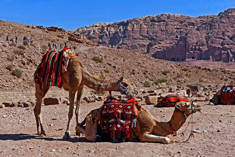 Petra_35.jpg