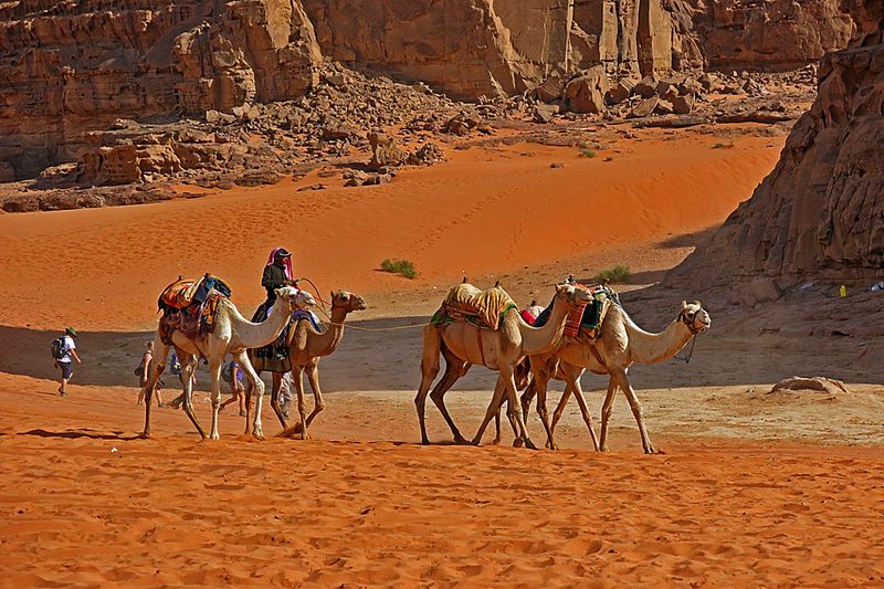 Wadi Rum_12.jpg