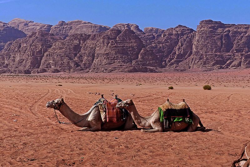 Wadi Rum_17.jpg
