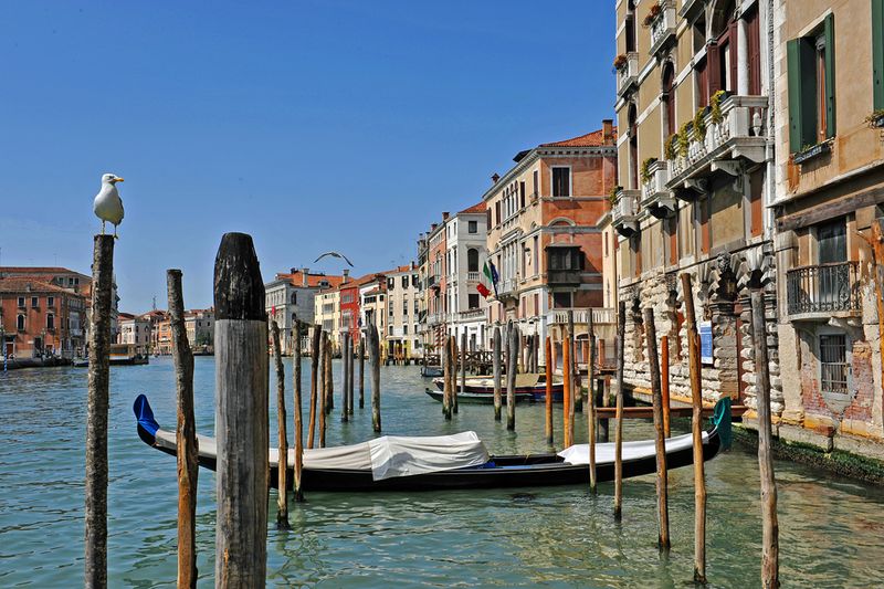 08_Venice_2011.jpg