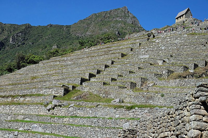 Machu Picchu_06.jpg