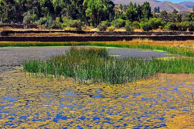 11_A pond in Raqchi.jpg