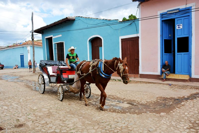 13_Poor exhausted horse.jpg