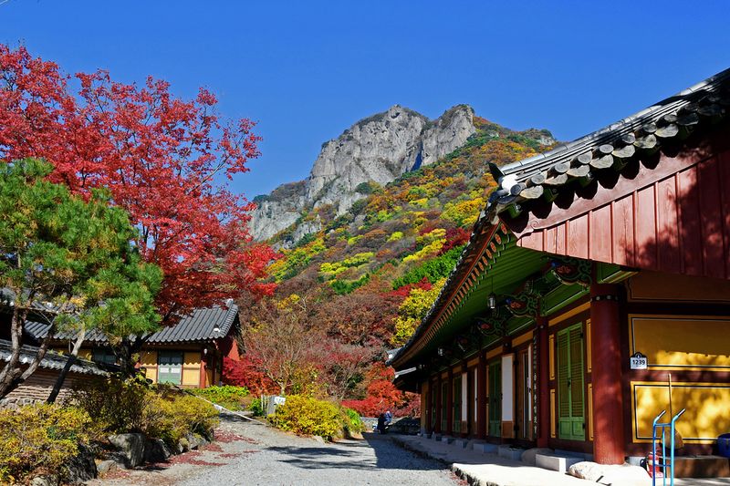 02_Autumn in Naejangsan National Park.jpg