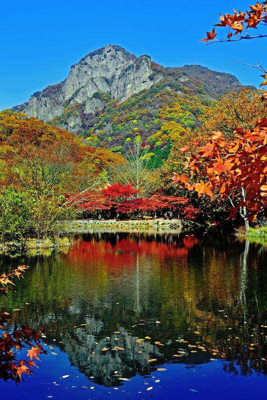 03_Autumn in Naejangsan National Park.jpg