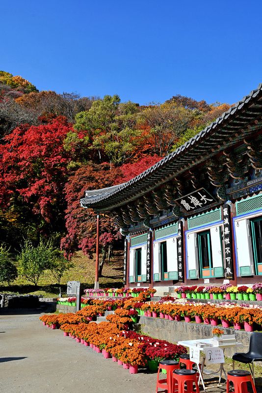 04_Autumn in Naejangsan National Park.jpg
