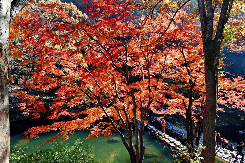 05_Autumn in Naejangsan National Park.jpg