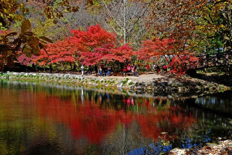 06_Autumn in Naejangsan National Park.jpg