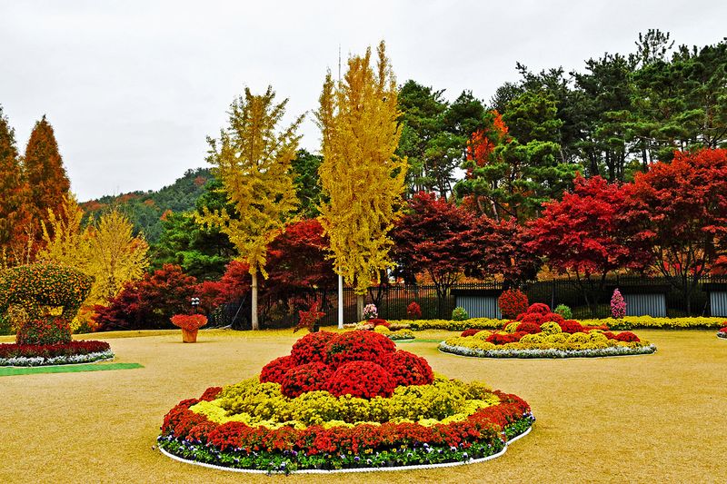 14_Autumn in the garden.jpg