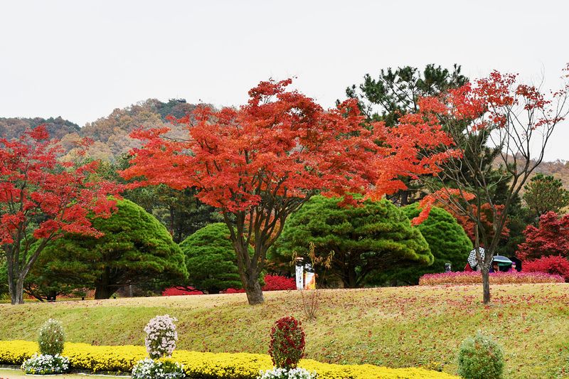 15_Autumn in the garden.jpg