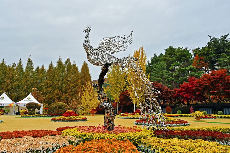 16_Autumn in the garden.jpg
