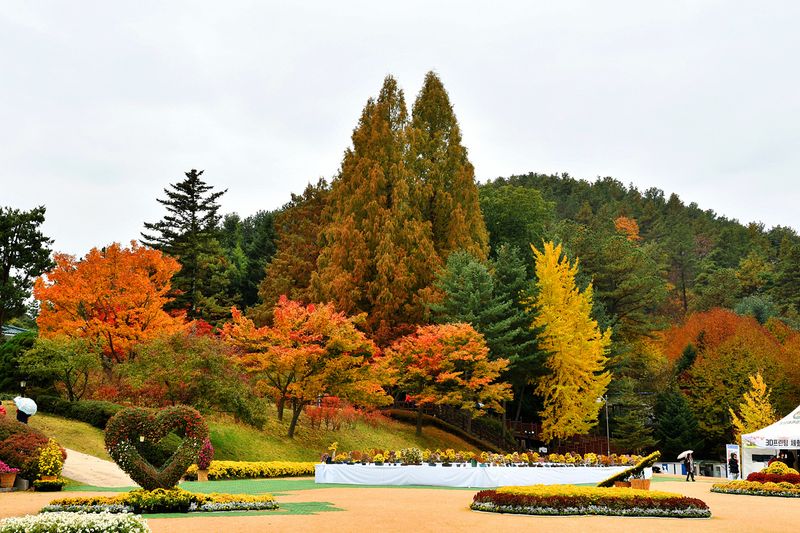 17_Autumn in the garden.jpg