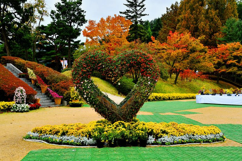 18_Autumn in the garden.jpg