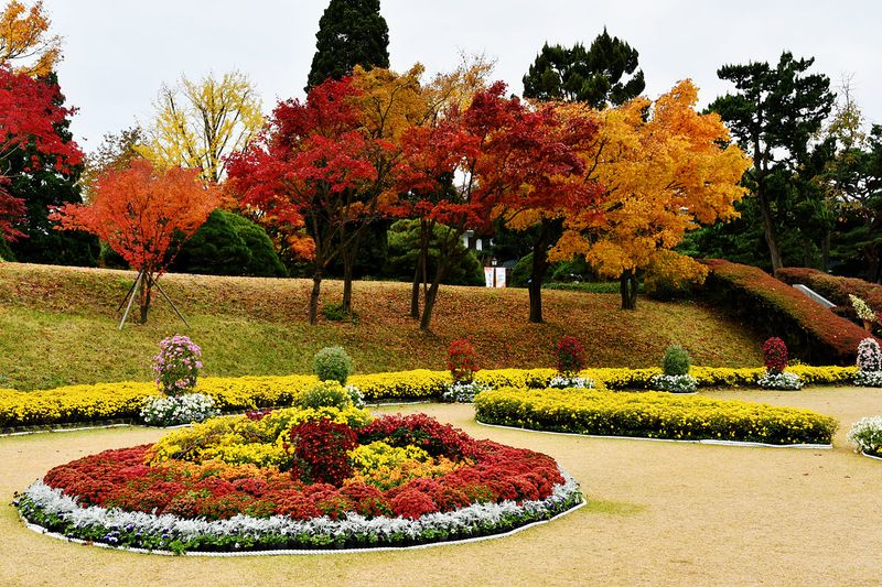 19_Autumn in the garden.jpg