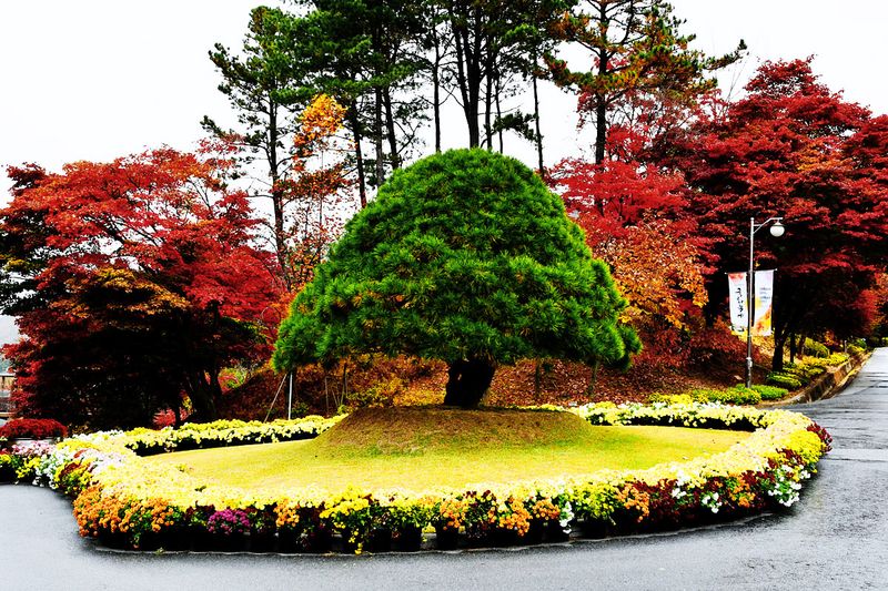 21_Autumn in the garden.jpg