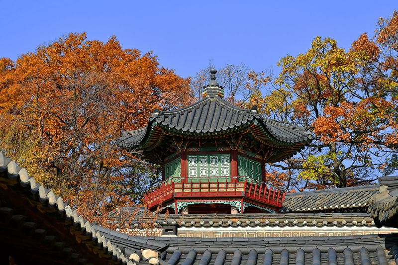 50_A glimpse of the top part of Hyangwonjeong Pavilion.jpg