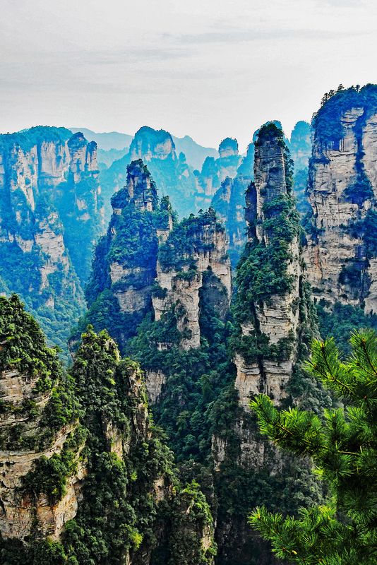 24_And 45 of them even reach higher than 300 meters.jpg