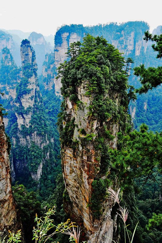25_Avatar Hallelujah Mountain, 1,080 meters.jpg