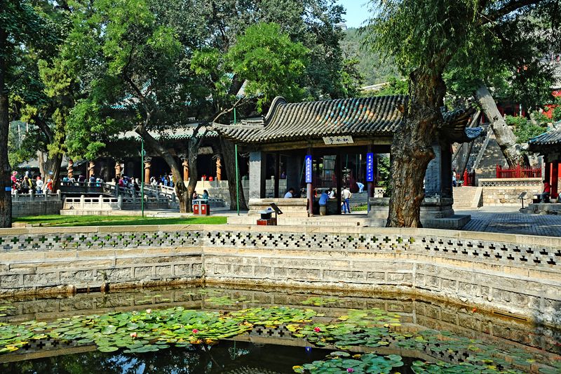 04_Now it has become a museum in the park.jpg