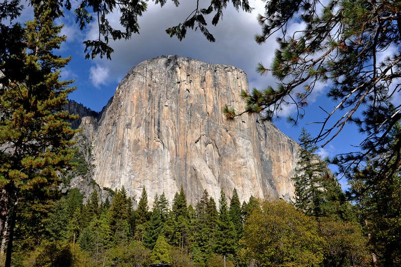 16_Yosemite Nat'l Park, CA.jpg