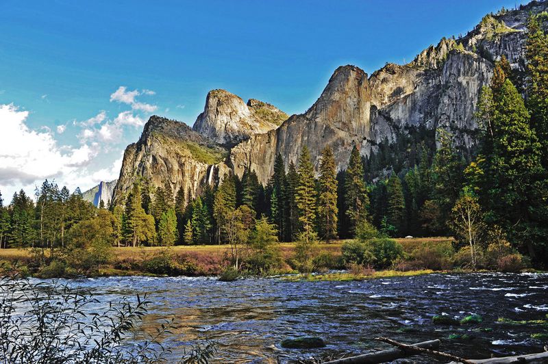 17_Yosemite Nat'l Park, CA.jpg