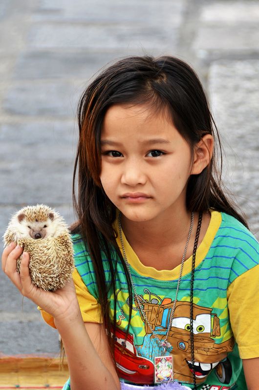 63_My pet is sick.jpg
