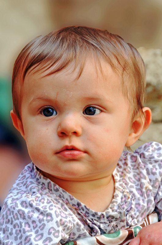 67_A 3 months old tourist.jpg
